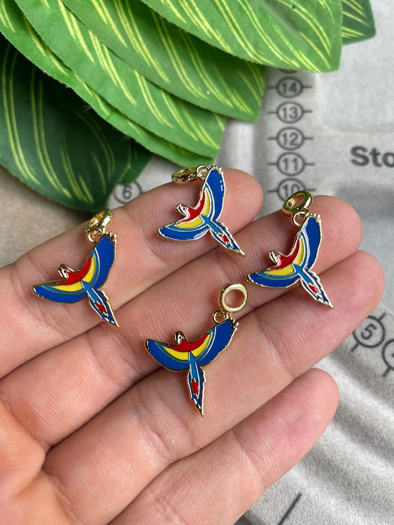 [CGUARA] Charm guara