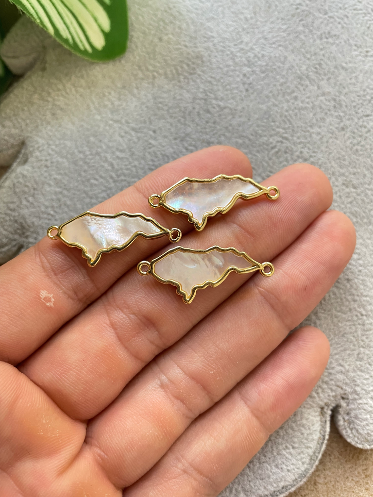 CONECTOR MAPA CONCHA NACAR